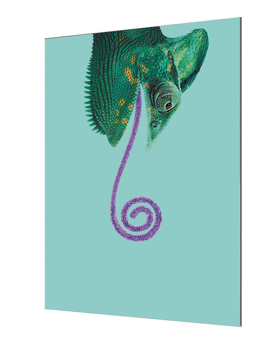 Jonas Loose - Candy Chameleon