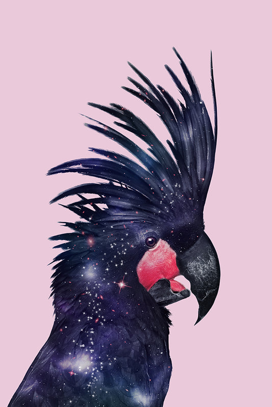 Jonas Loose -  Galaxy Bird