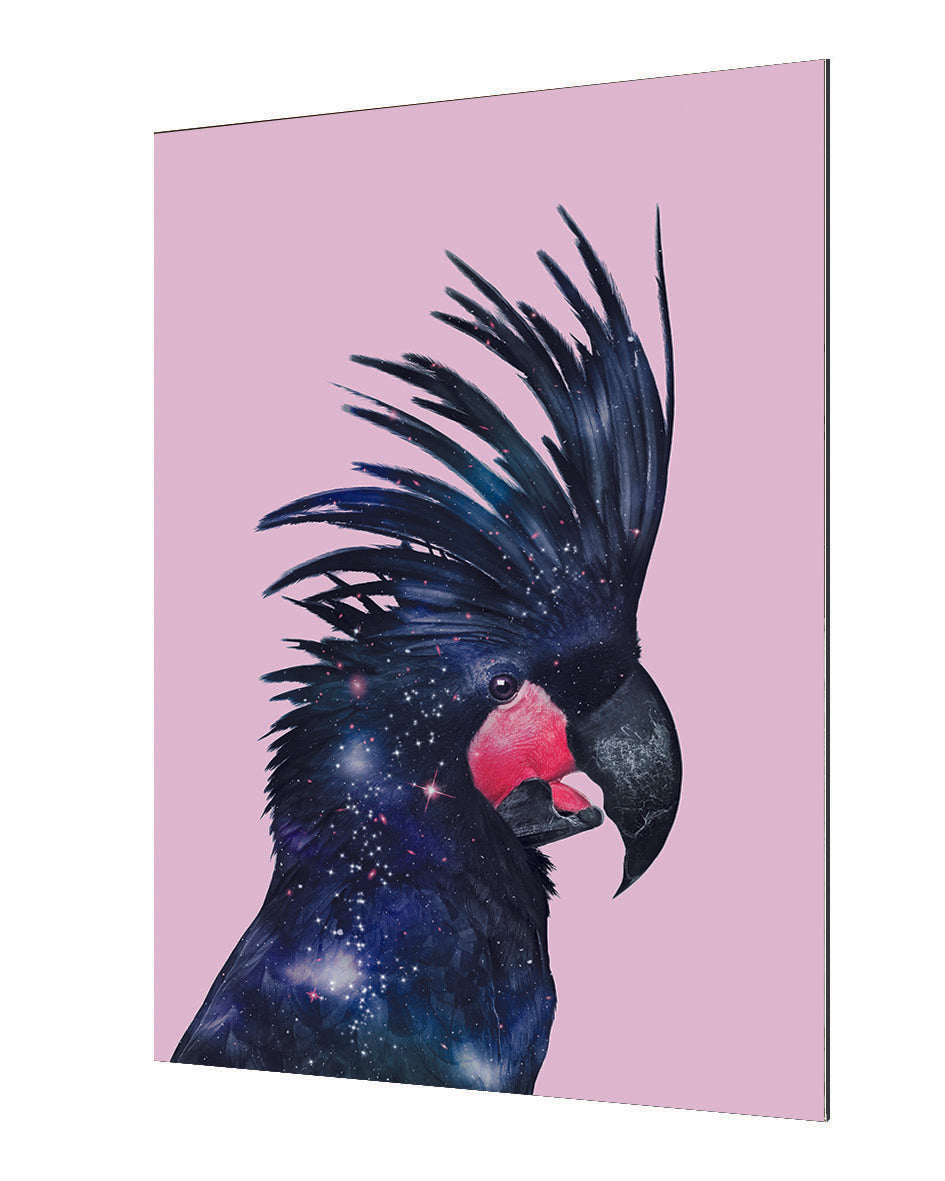 Jonas Loose - Galaxy Bird