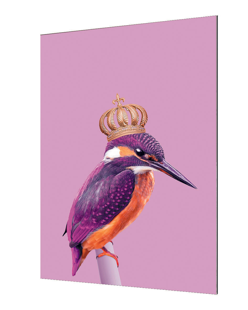 Jonas Loose - Queenfisher