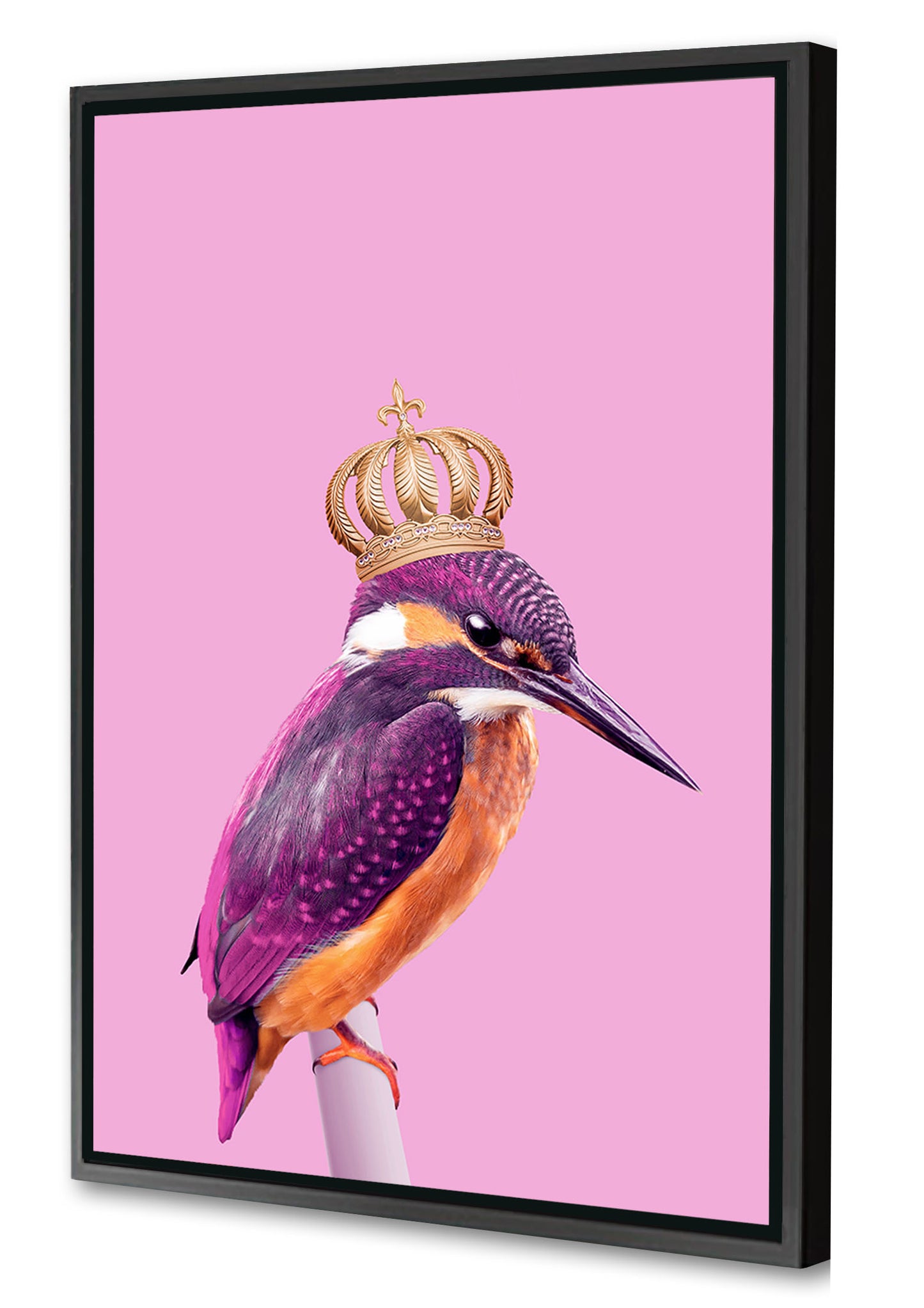 Jonas Loose - Queenfisher