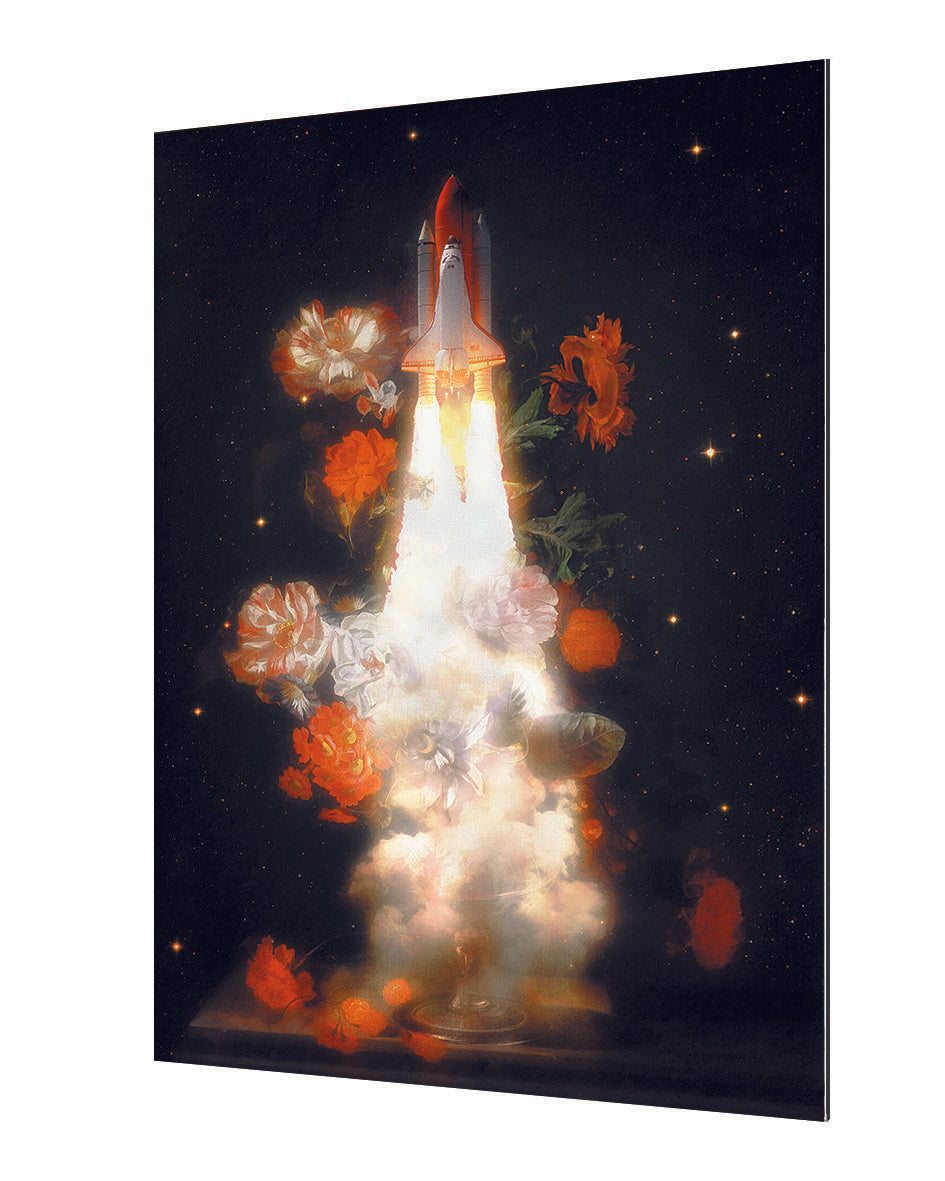 Jonas Loose - Space Shuttle Flowers