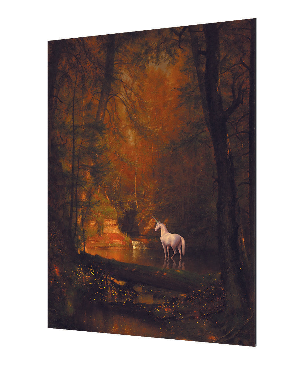 Jonas Loose - The Last Unicorn