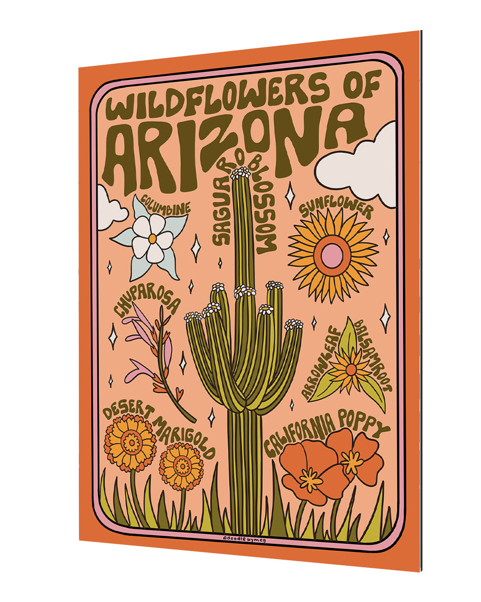 Meghan Wallace - Arizona Wildflowers
