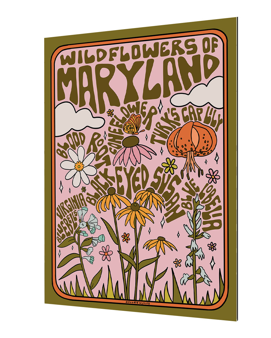 Meghan Wallace - Maryland Wildflowers