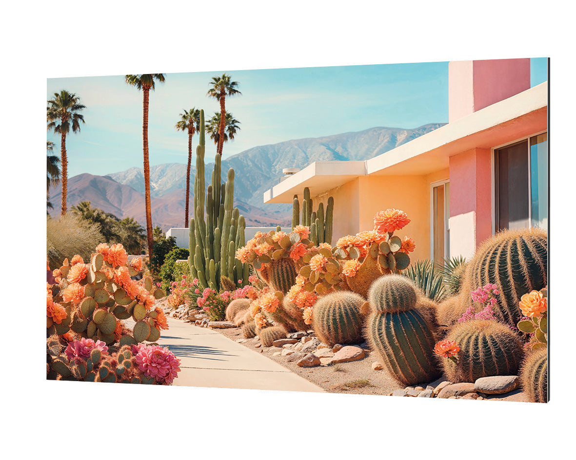 Philippe Hugonnard - California Dreaming Cactusland