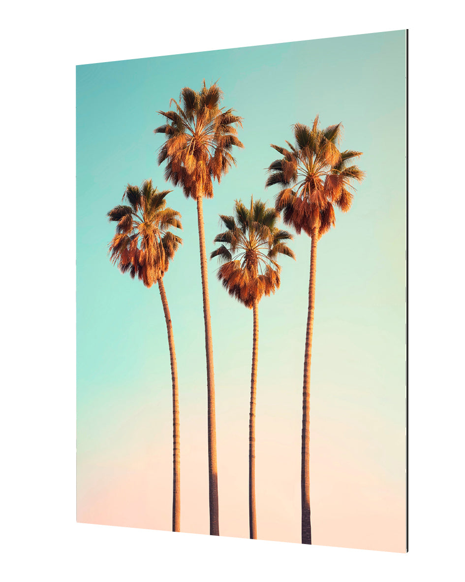 Philippe Hugonnard - California Dreaming Hollywood Palm Trees