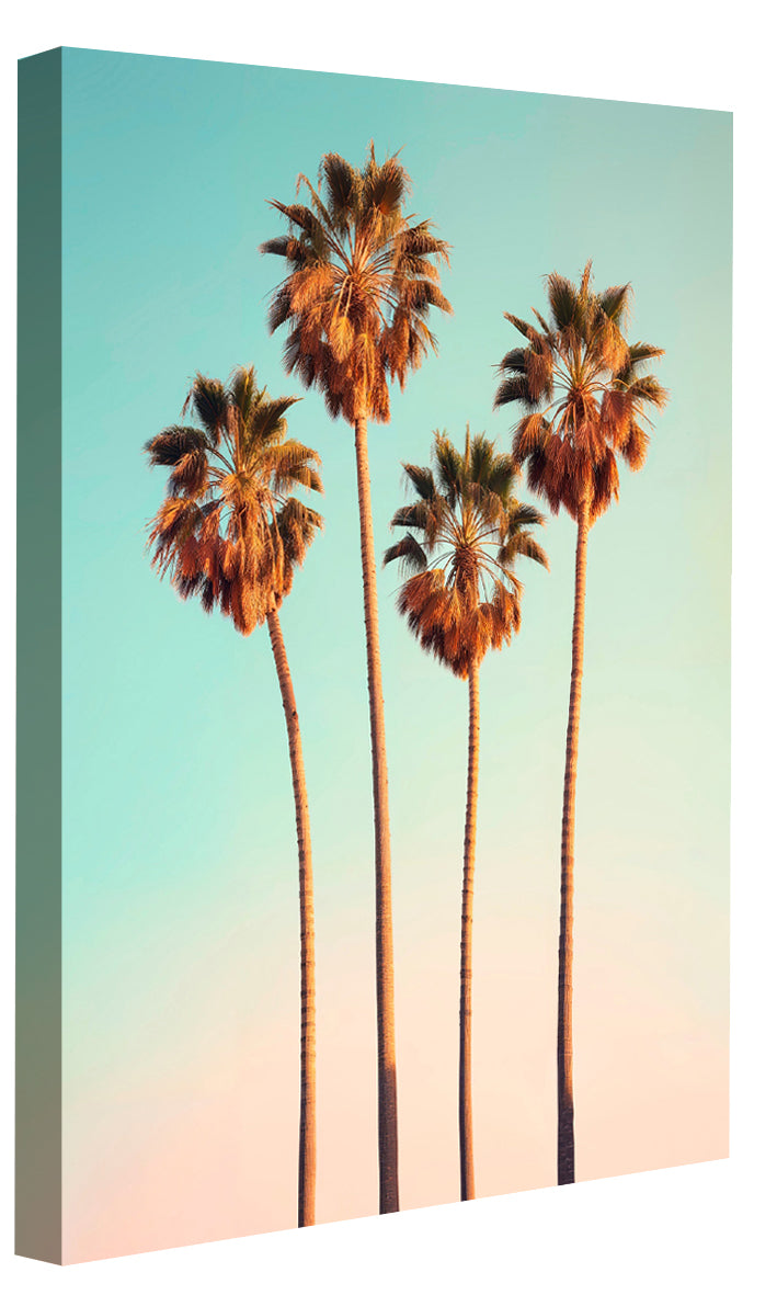Philippe Hugonnard -  California Dreaming Hollywood Palm Trees