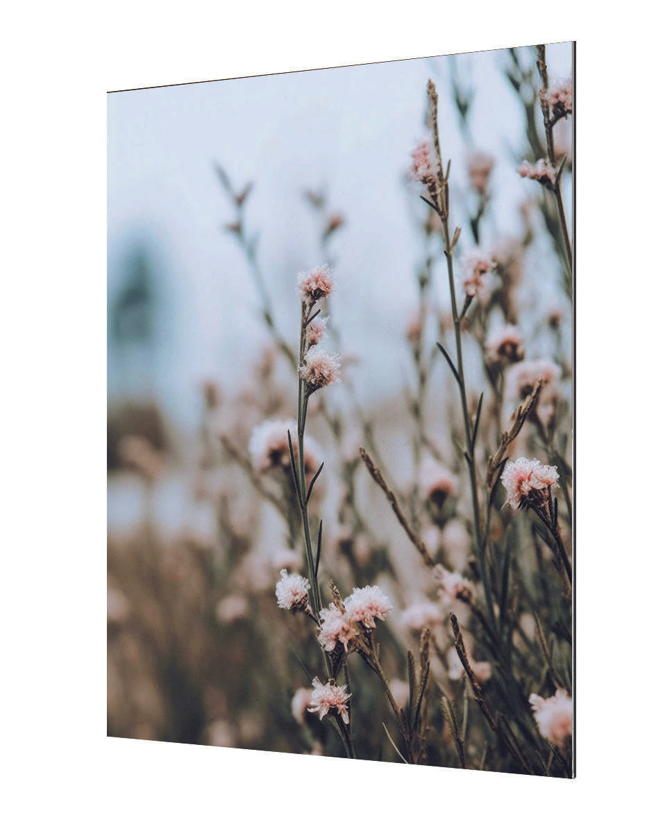 Treechild - At The Way Side No3