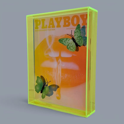 Butterfly Play Boy