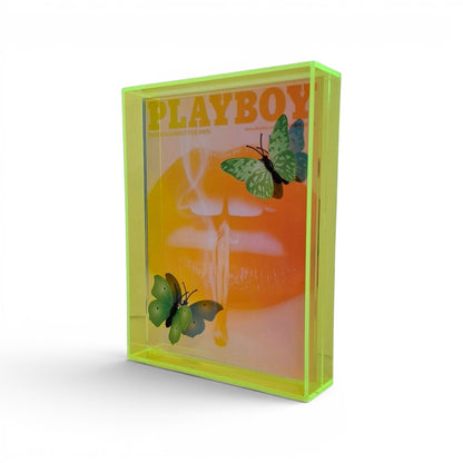 Butterfly Play Boy