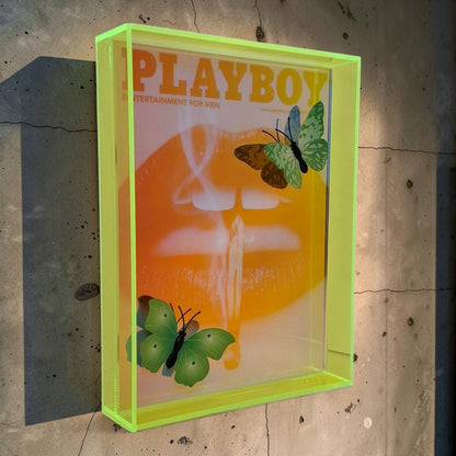 Butterfly Play Boy