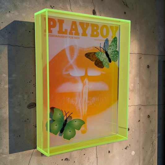 Butterfly Play Boy