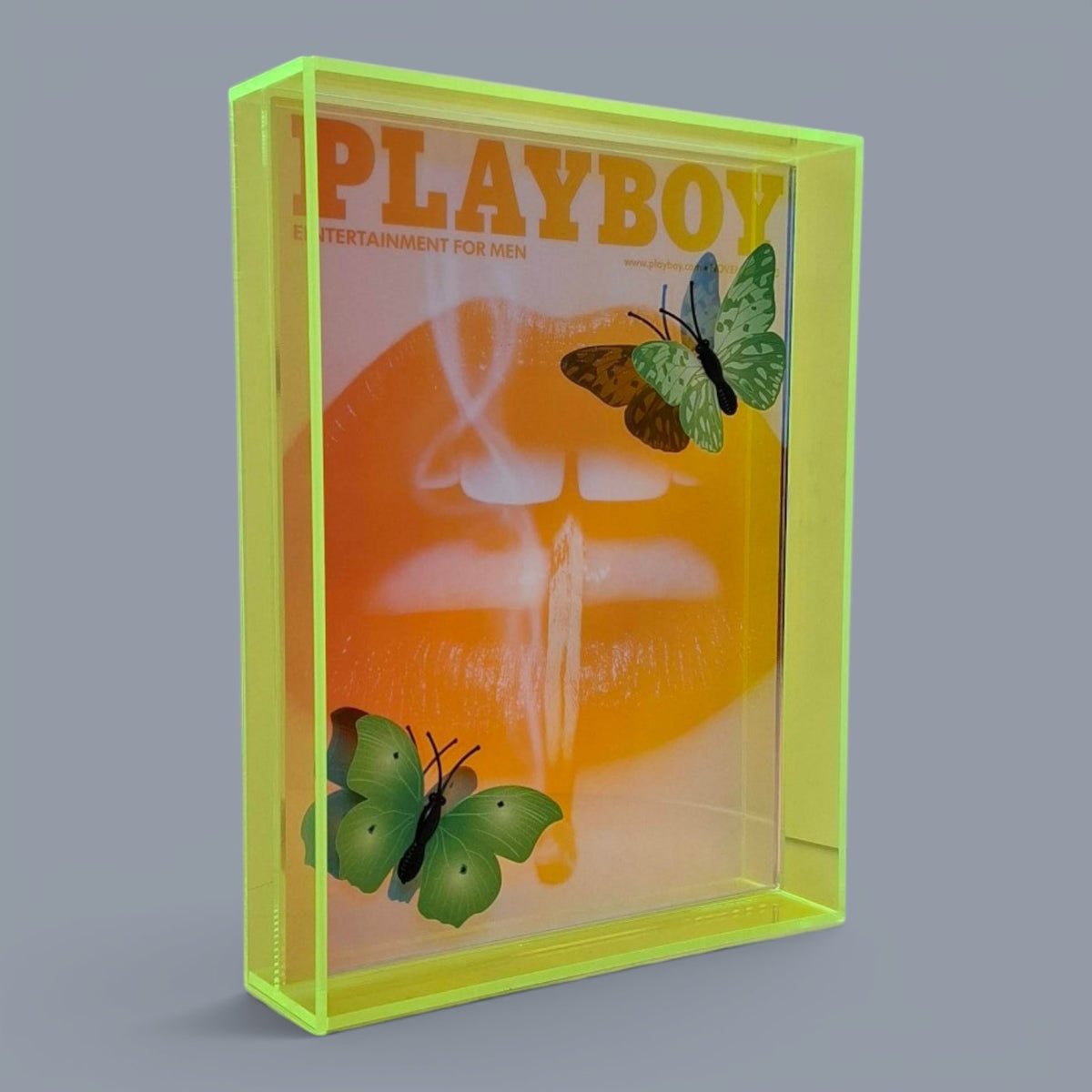 Butterfly Play Boy