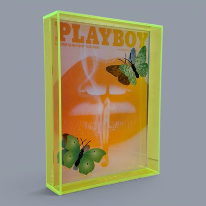 Butterfly Play Boy