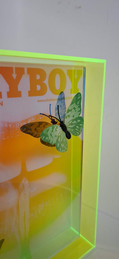 Butterfly Play Boy