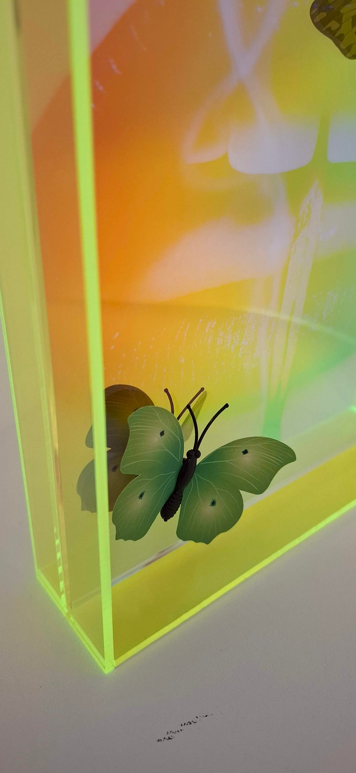 Butterfly Play Boy