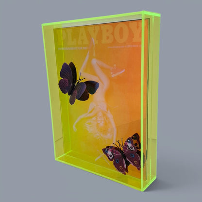 Butterfly Play Boy