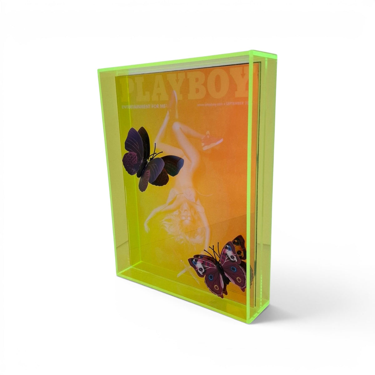 Butterfly Play Boy