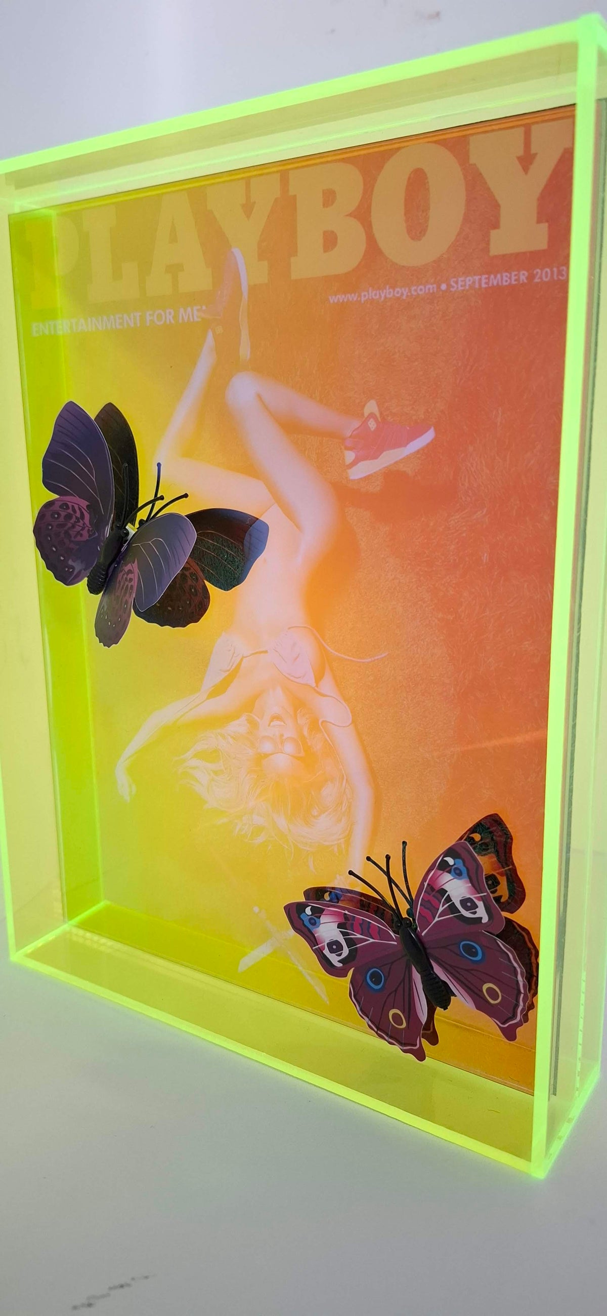 Butterfly Play Boy