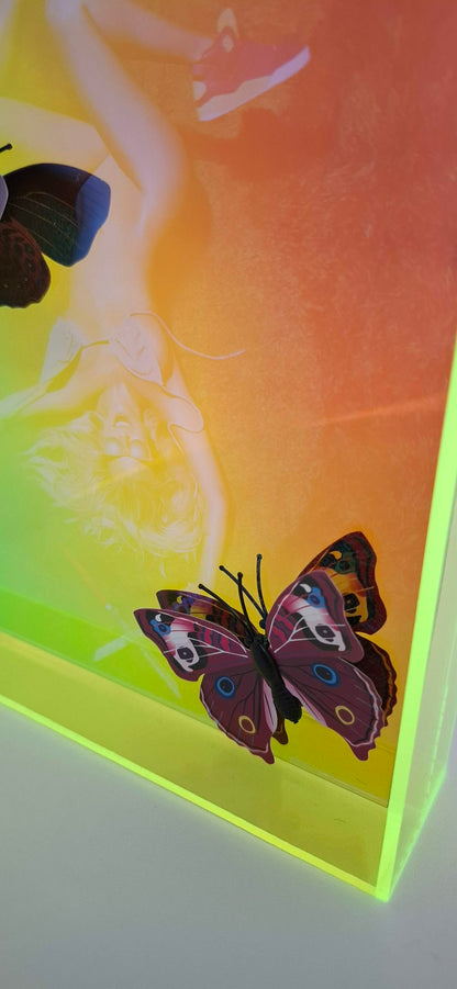 Butterfly Play Boy