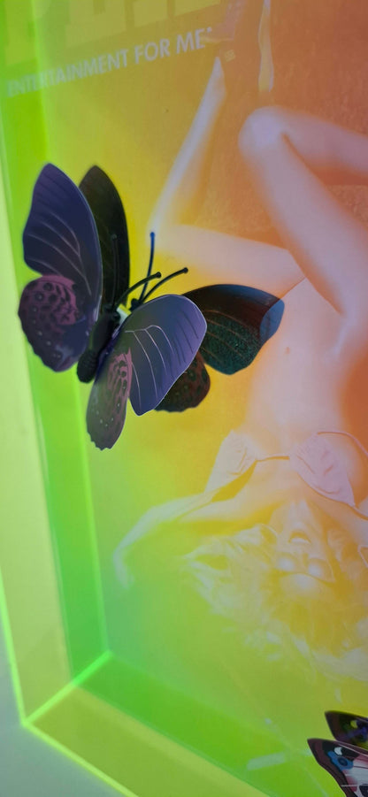 Butterfly Play Boy