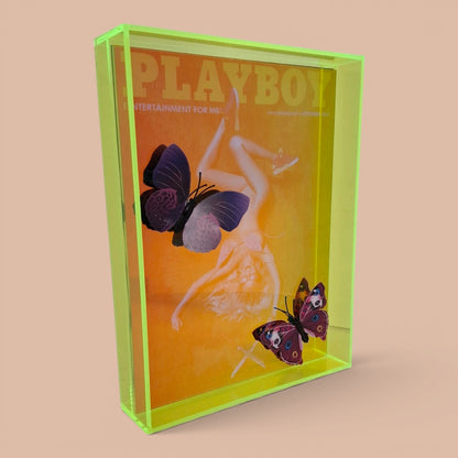 Butterfly Play Boy