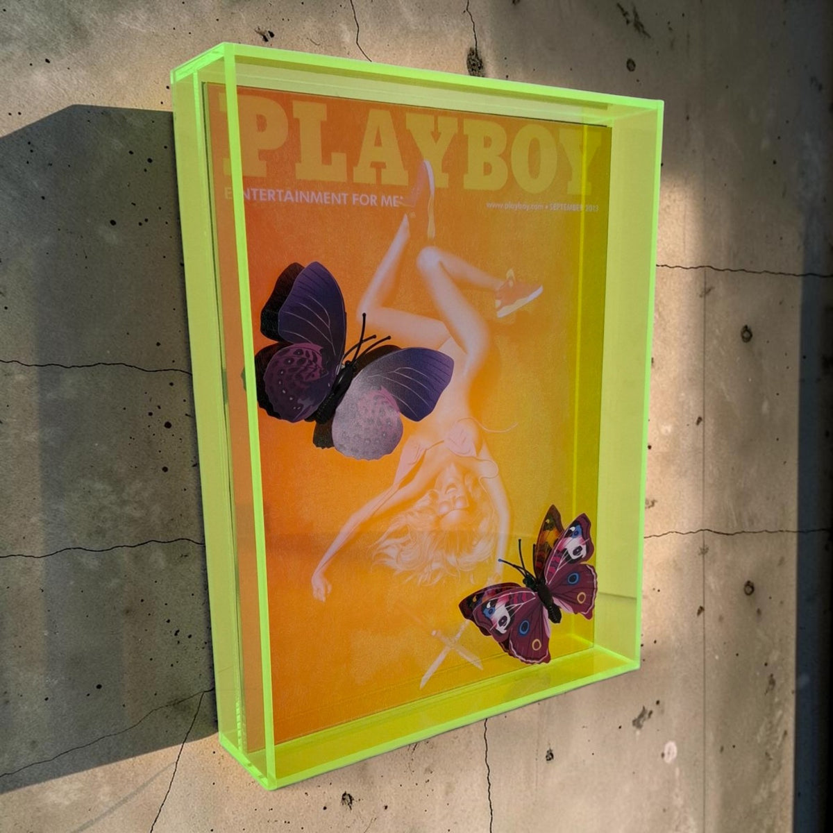Butterfly Play Boy