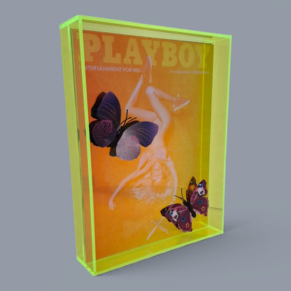 Butterfly Play Boy