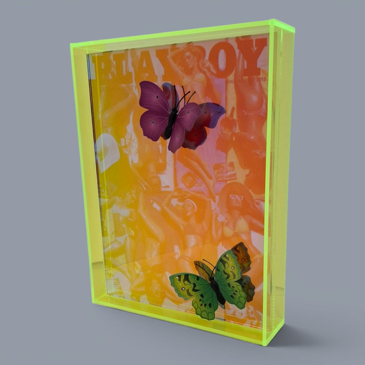 Butterfly Play Boy