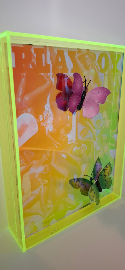 Butterfly Play Boy