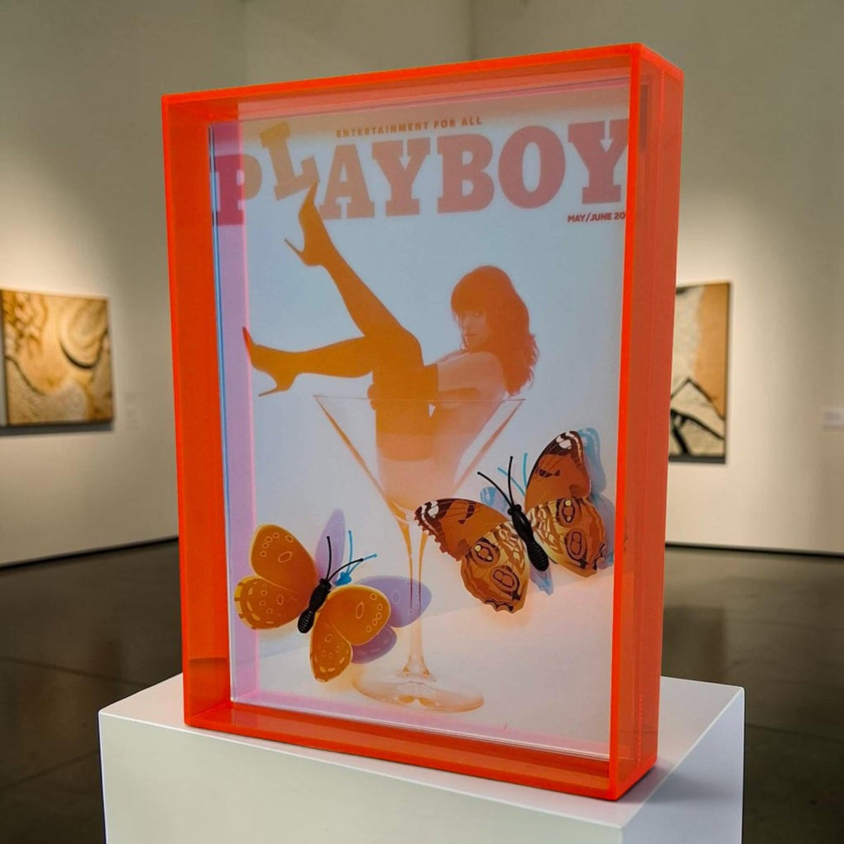 Butterfly Play Boy