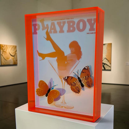 Butterfly Play Boy
