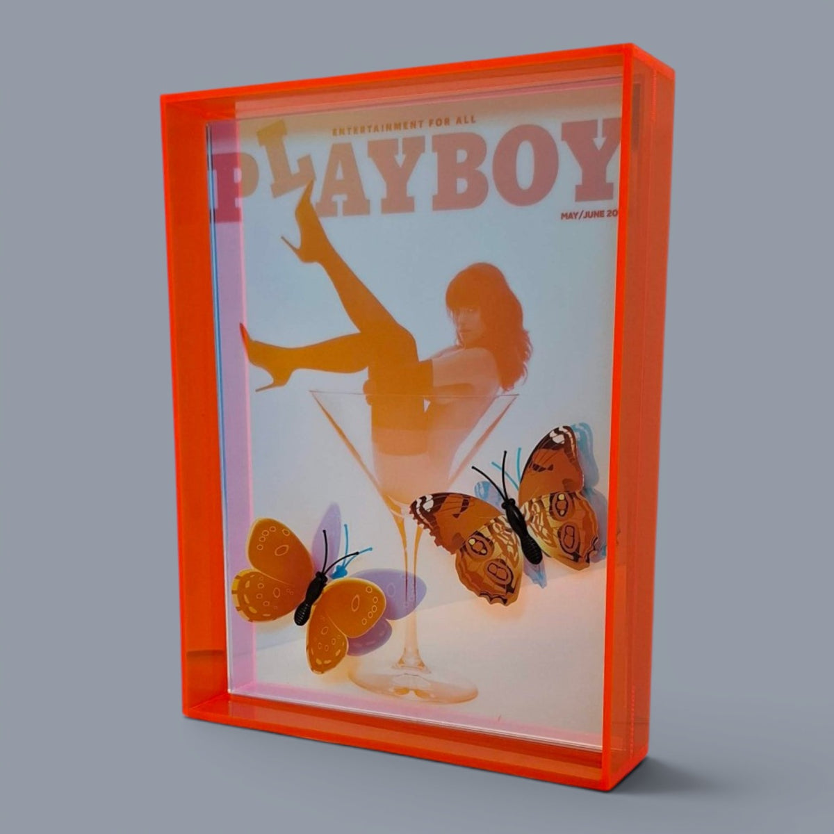 Butterfly Play Boy