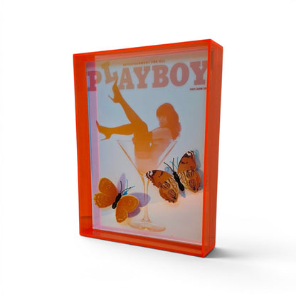 Butterfly Play Boy