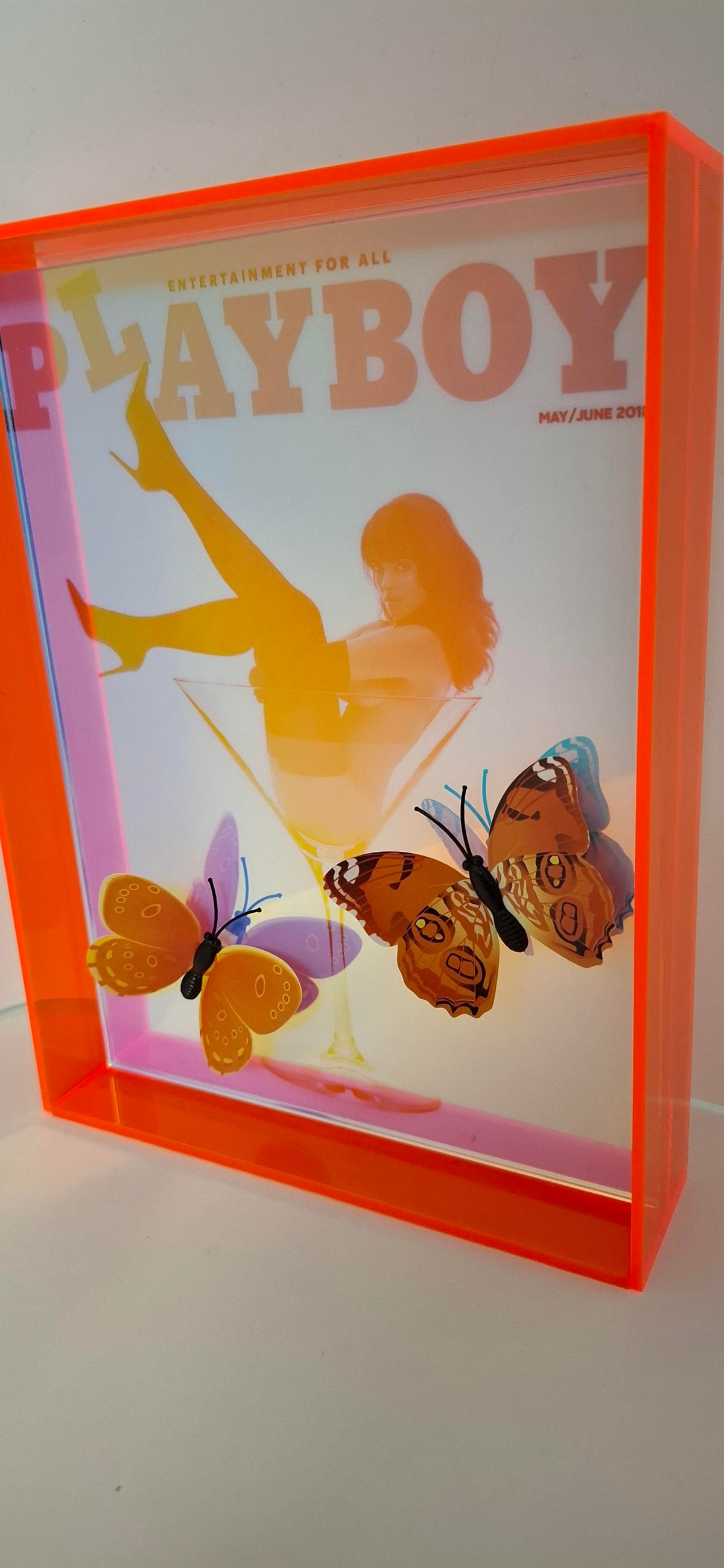 Butterfly Play Boy