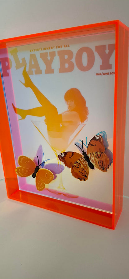 Butterfly Play Boy