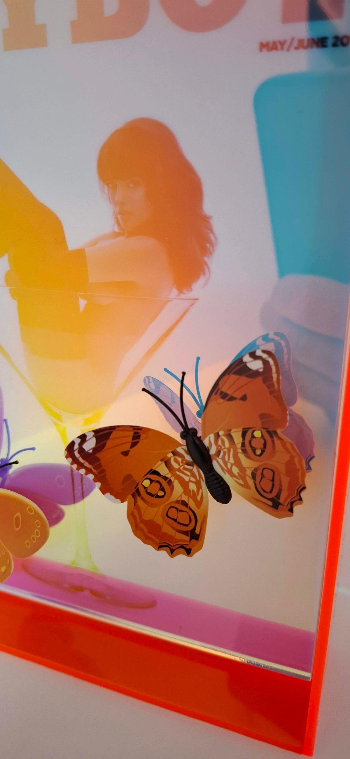 Butterfly Play Boy