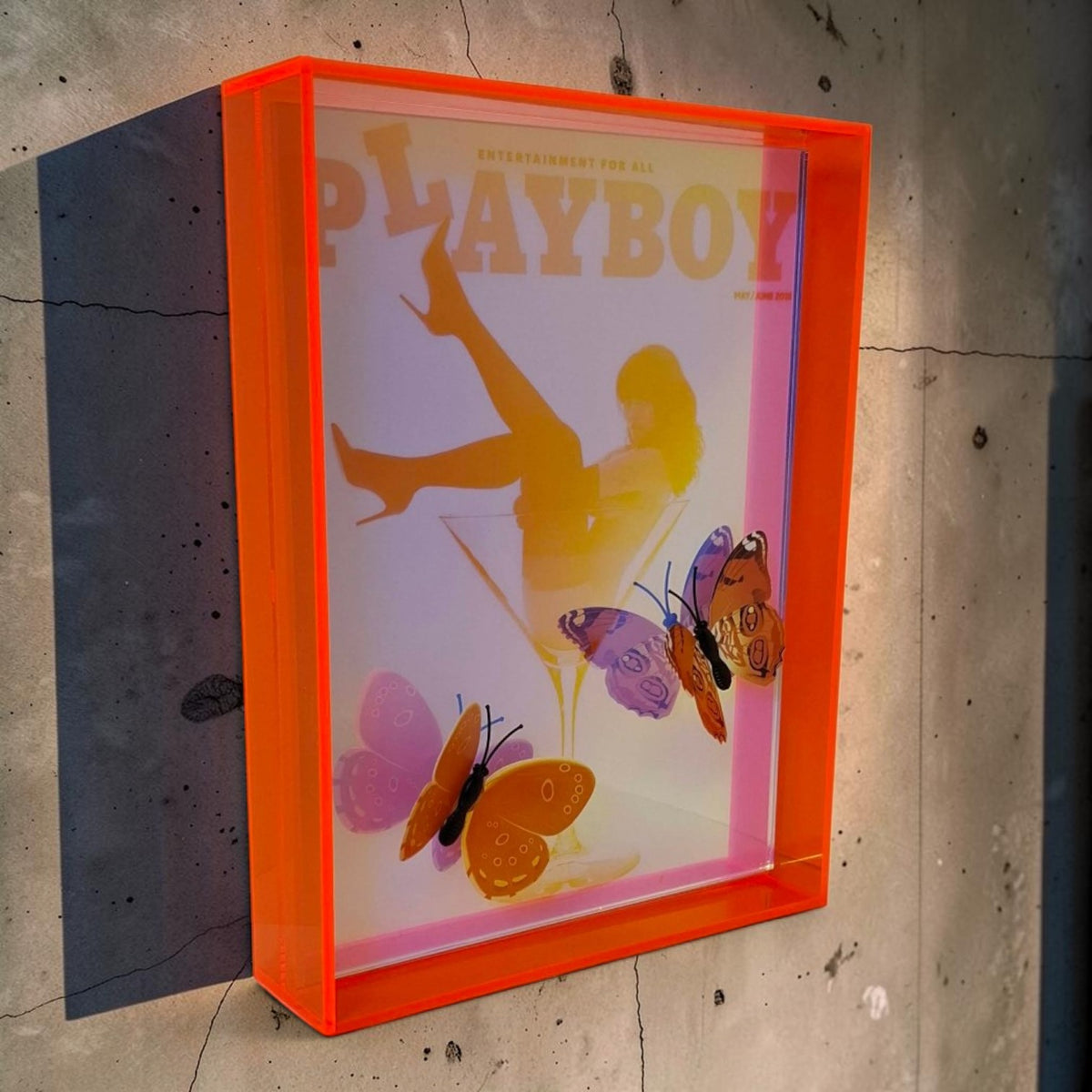 Butterfly Play Boy