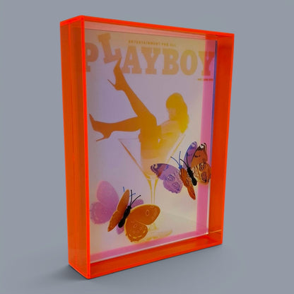 Butterfly Play Boy