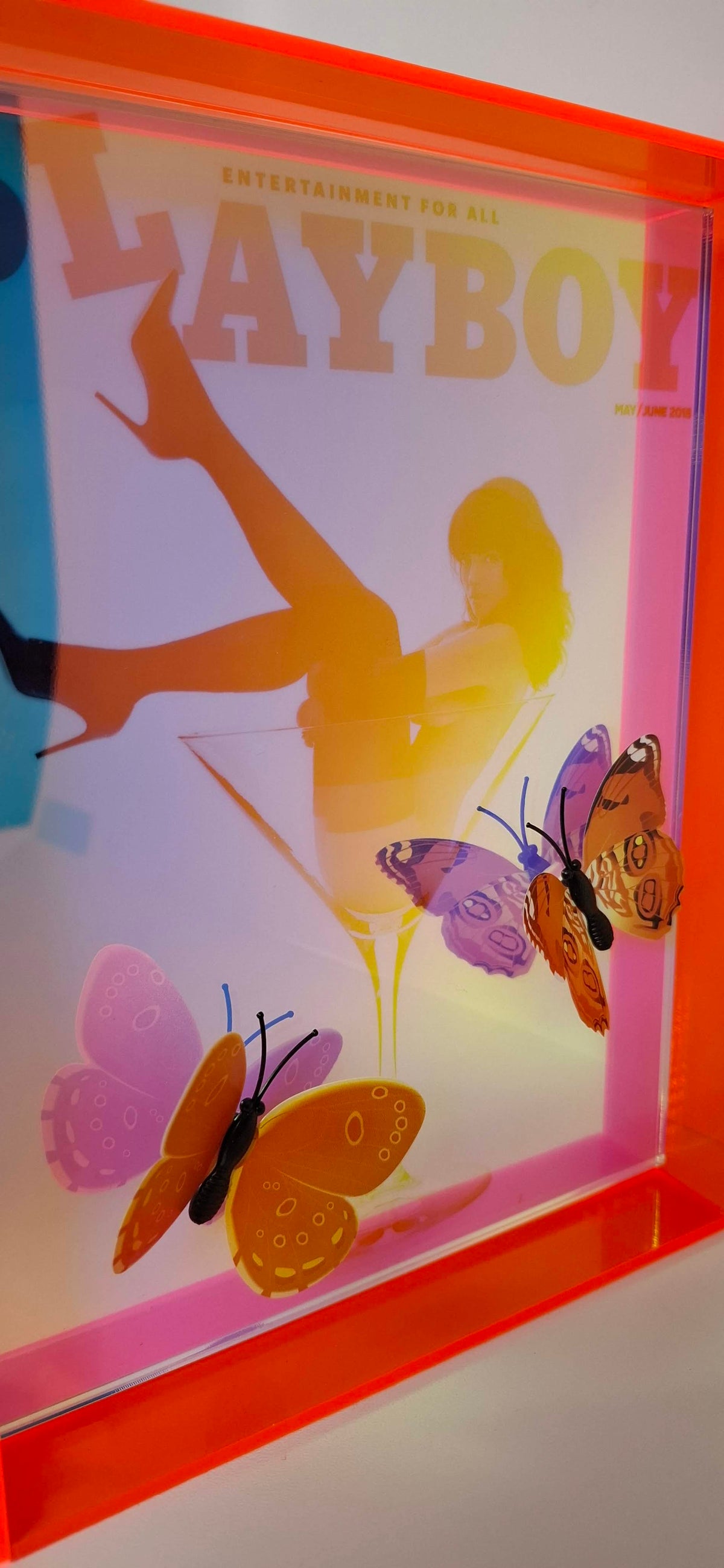 Butterfly Play Boy