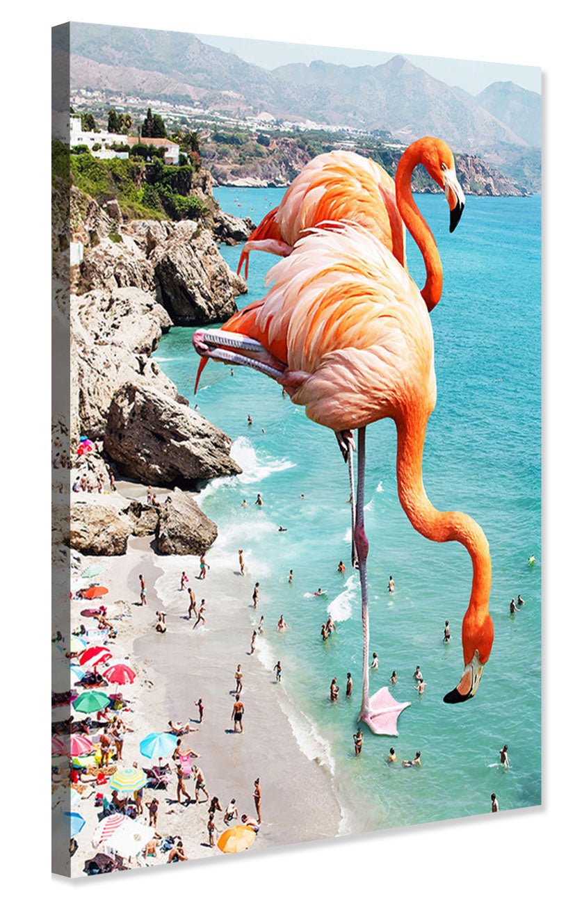 83 Oranges -  Flamingos On The Beach