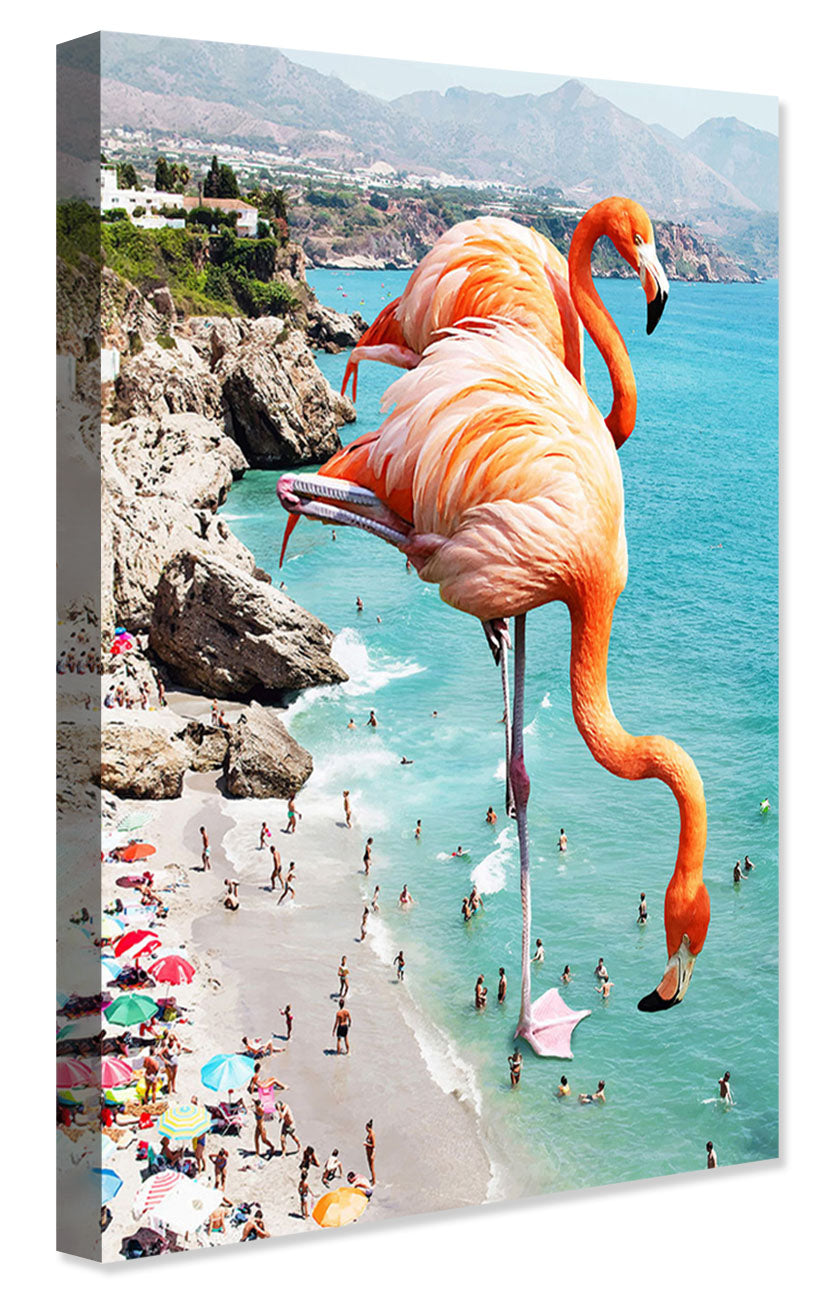 83 Oranges -  Flamingos On The Beach