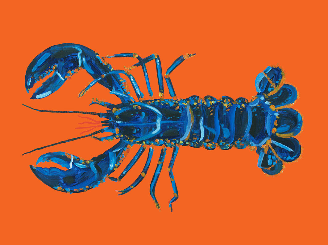 Alice Straker - Lobster on Orange