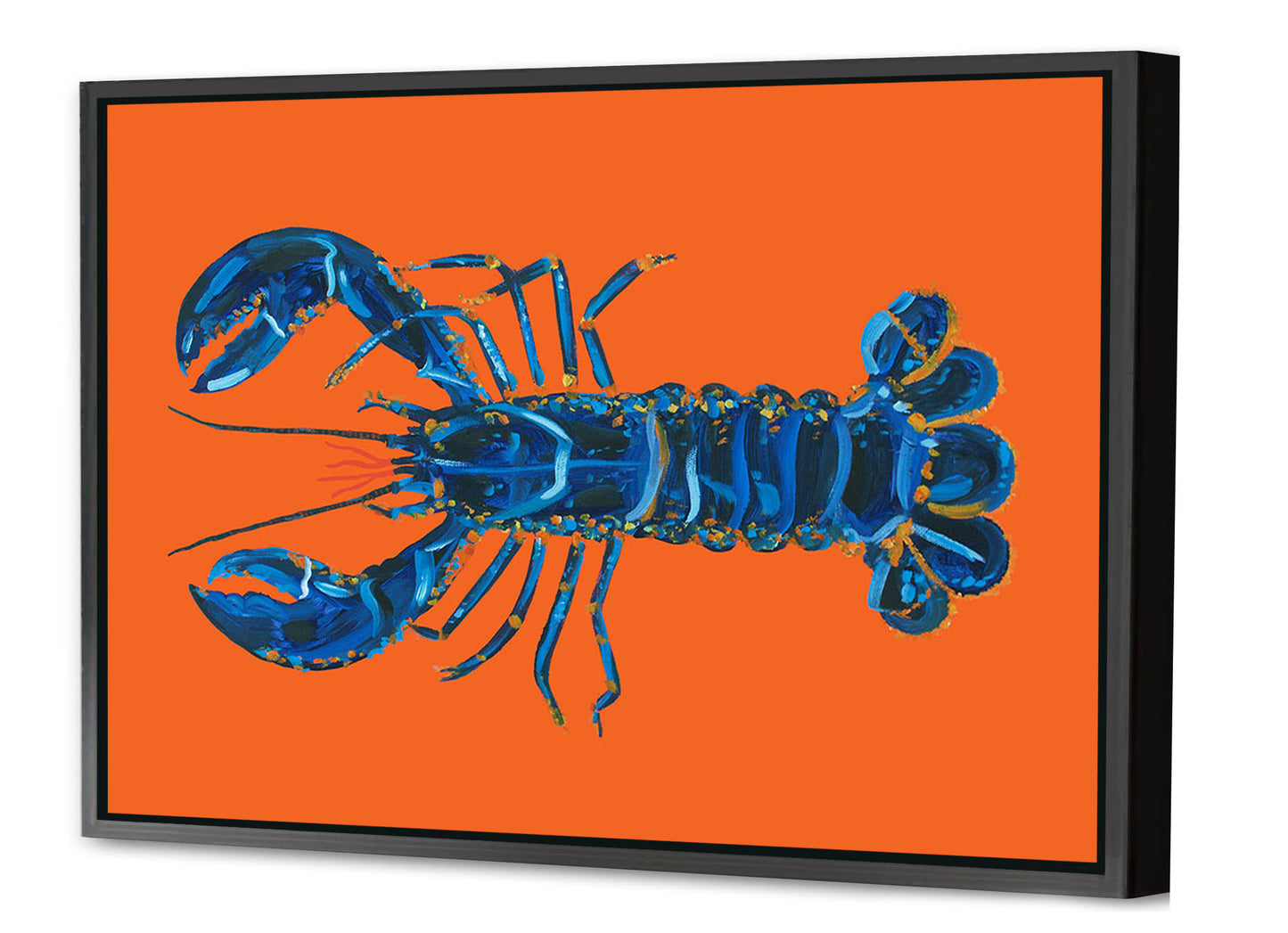 Alice Straker - Lobster on Orange