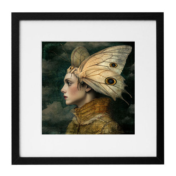 Alisa Williams - Moth Boy