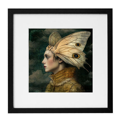 Alisa Williams - Moth Boy