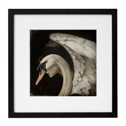 Alisa Williams - The Swan