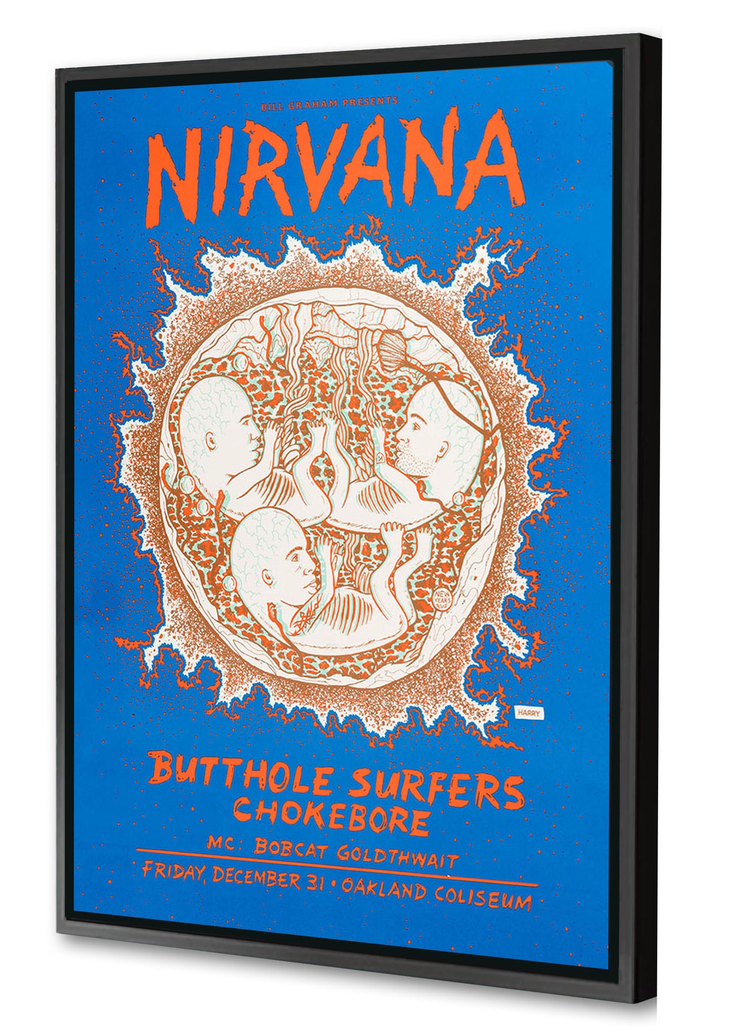 Concerts - Nirvana - Butthole Surfers