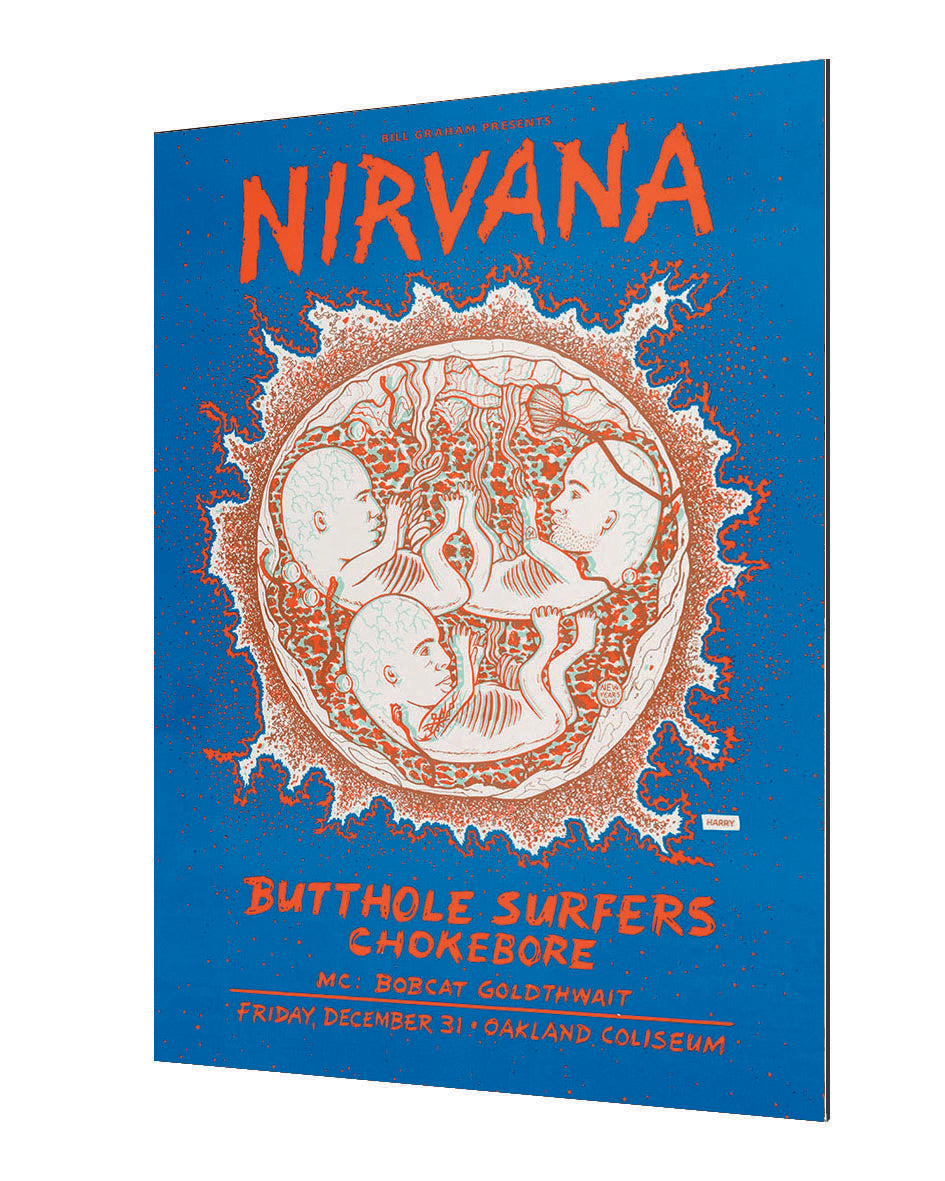 Concerts - Nirvana - Butthole Surfers